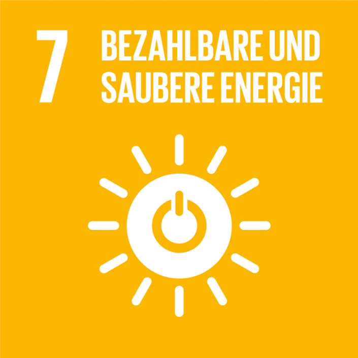 Ziel 7: Bezahlbare und saubere Energie