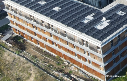 Header Collegium Academicum