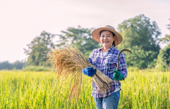 Invest in Visions (IIV) – Mikrofinanzfonds