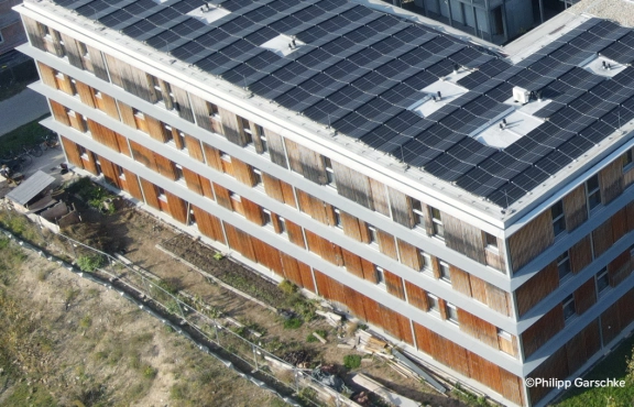 Header Collegium Academicum