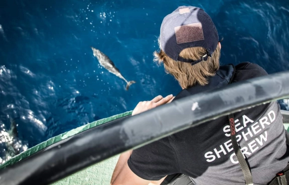 Sea Shepherd