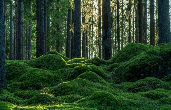 AdobeStock_380538385_1920x1080.jpeg