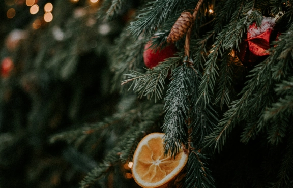 Grüne Weihnachten Header